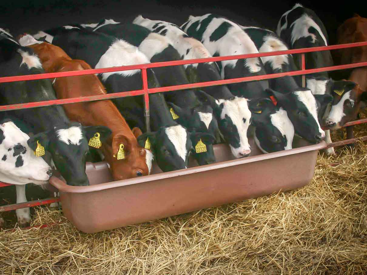1600TroughInUse_LR