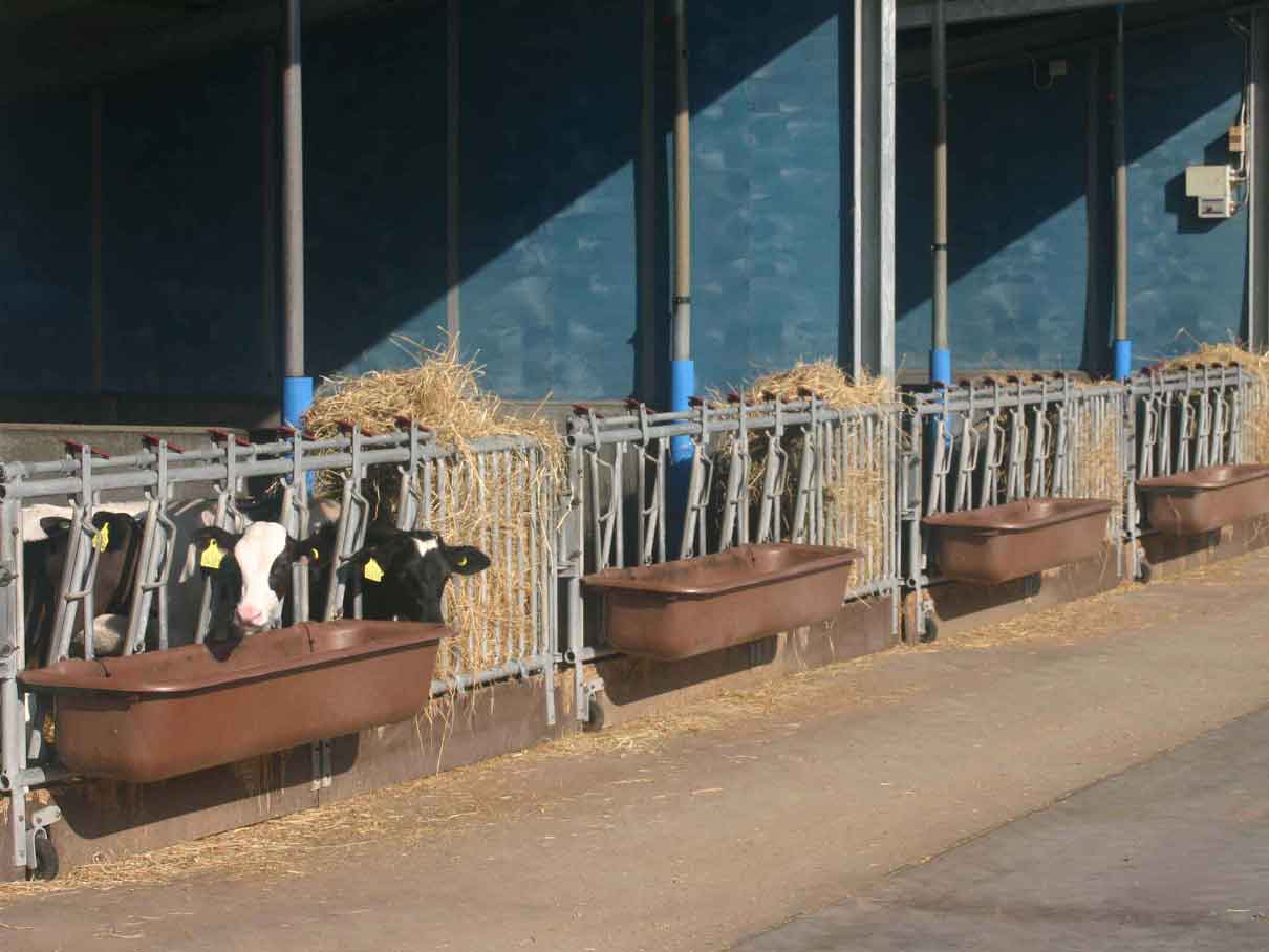 1600_RowofTroughInUse_LR