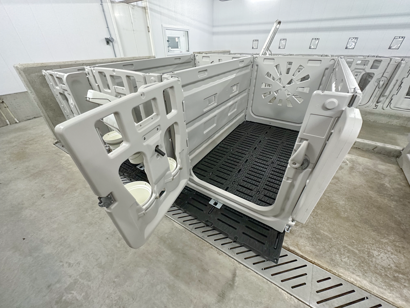 Benefits of Using Slatted Floors in Outdoor Calf Pens