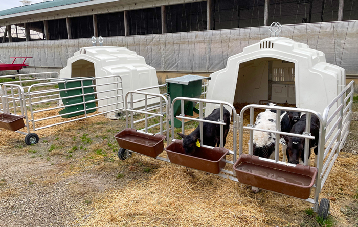 GroupHutchRollingPen_800troughs_LR