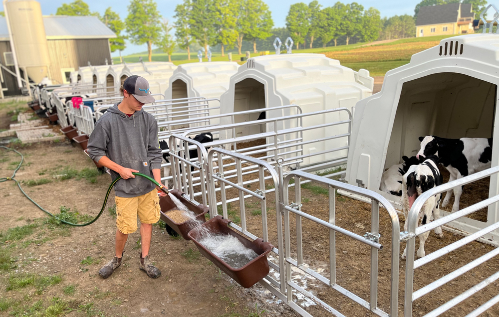 GroupHutchRollingPen_WateringCalves_LR